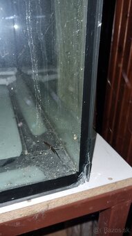 Terarium 160x70x35 cm - 3