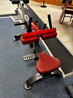 Profesionálny stroj na lýtka - 3