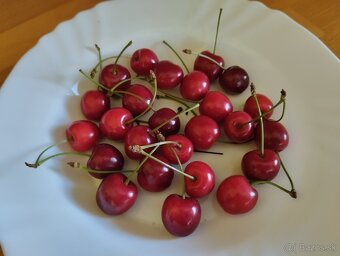 Čerešne - 3