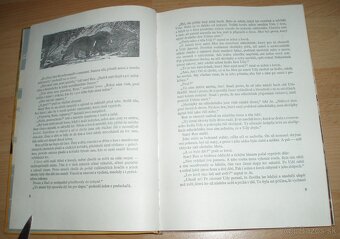 U pravěkých lovcu - 3