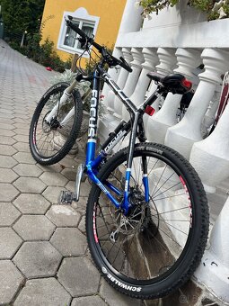 FOCUS Raven Expert CARBON - 3