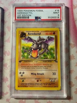 Pokemon charizard a aerodactyl - 3