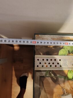 Terarium 80x50x35 - 3