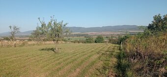 Predám záhradu v obci Gyňov - 3