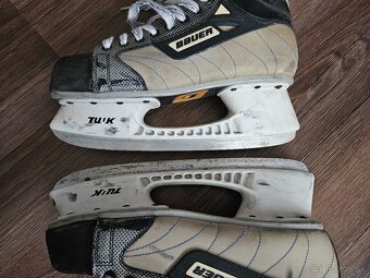 Korčule Bauer č.47 - 3