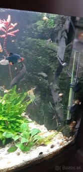 Akvárium Juwel 140 - 3