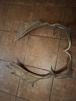 parohy,parozie, zhody,daniel - 3