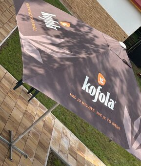 slnečník veľký (kofola) - 3