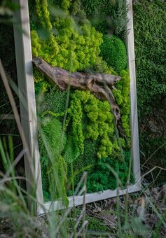 🌿 Machové obrazy na mieru – príroda vo vašom interiéri - 3