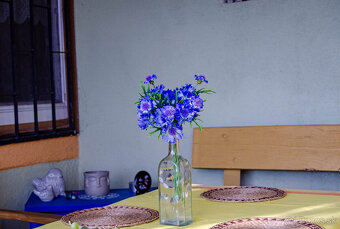 SABINOV-pozemok s domom a potenciálom – 3177 m² - 3