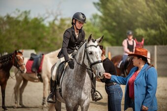 Working Equitation kobyla - 3