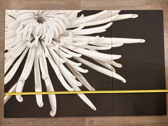 3-dielny obraz na stenu - 3