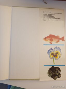 Pestrá príroda - 3