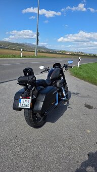 HARLEY DAVIDSON ROADSTER 1200 - 3