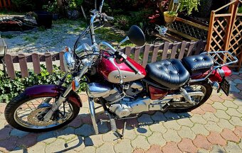 Yamaha Virago 250 - 3