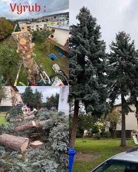 Výrub stromov a rizikové pílenie stromov - 3