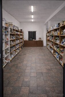 Priestory na prenájom Dolné Obdokovce - 3