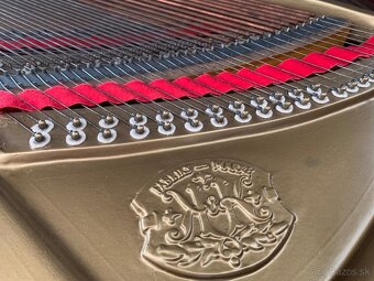 Krídlo Koch & Korselh - 3