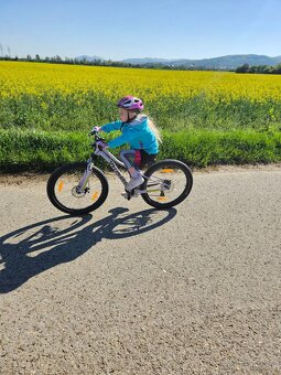 Specialized Riprock 24 - 3