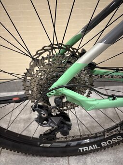 CTM pulze expert 29” 2023 - 3