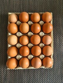 domáce vajcia/domáce vajíčka - 30 ks - 3
