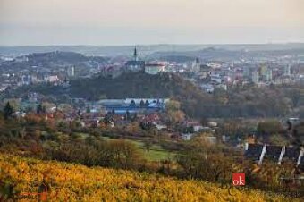 Na predaj orná pôda Nitra - 3