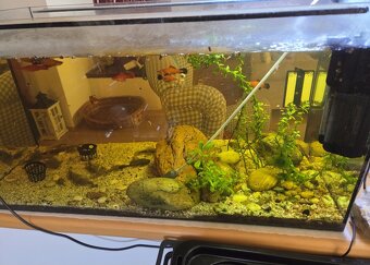 Predám 120 l akvárium - 3