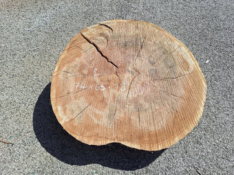 dubové koláče, priečne rezy - 3