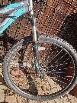 Horský bicykel Specialized - 3