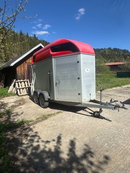 Prepravník na kone - 3