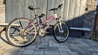 Dámsky bicykel CTM Stefi 2.0 - 3