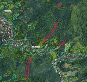 Čadca (Horelica) – 20.500 m2 ORNÁ PÔDA a LES - 3