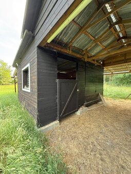 Ustajnenie - 3