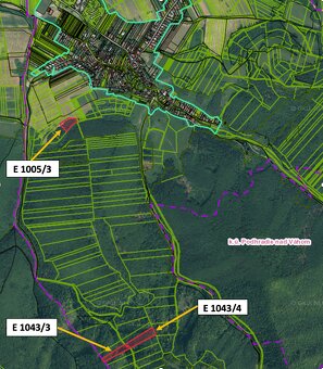 Podhradie (MT) – 19.000 m2 ORNÁ PÔDA a LES v komasácii - 3