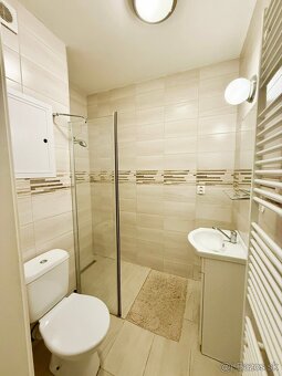 Prenájom 1-izbový byt v Senci - 3