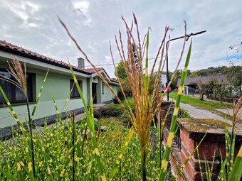 rodinný dom / vila MASLOVCE ( ČENKOVCE / OĽDZA ) 20 á pozemo - 3