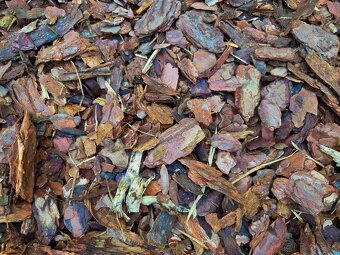 Borovicová kôra 80L - 3