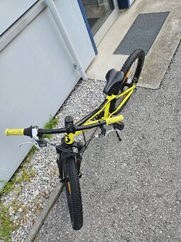Scott 24 - 3