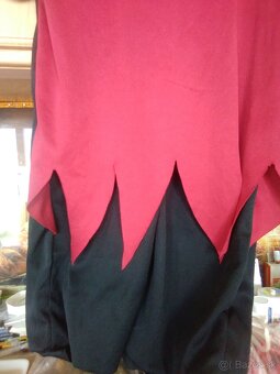 Karnevalový kostým - 3