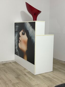 Recepcia/Komoda - 3