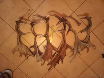 Parohy, zhody, trofej - 3