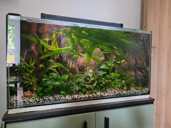 Predám komplet akvarium - 3