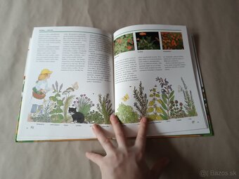 Malý záhradkár: Okno do prírody - 3