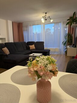 Prenajmem 2 izbový byt Devínska Nová Ves BA - 3