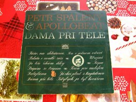 Predám platne českých a slovenských interprétov - 3