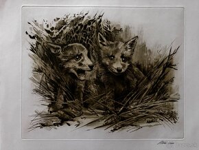 Ales Vaic - lesnicka tematiky - 3