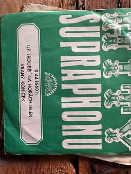 Gramofónové platne + pásky – retro zbierka - 3