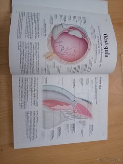 Encyklopédie ľudského tela - 3