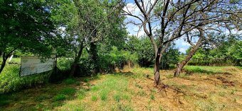 Záhradka v Novom Meste nad Váhom - 3