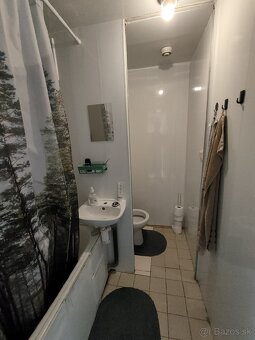1 izbový byt prenájom - 3